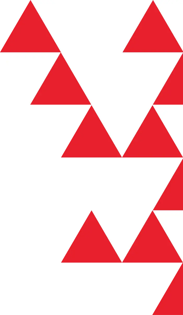 decoration-image-cwi-right